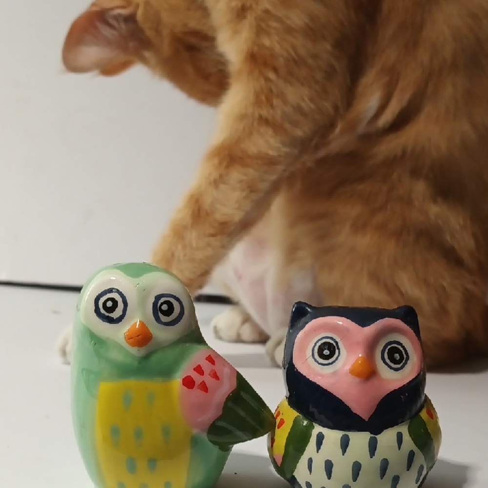 Source Unknown Colorful Owl Salt and Pepper Shakers - Picture 5 of 5